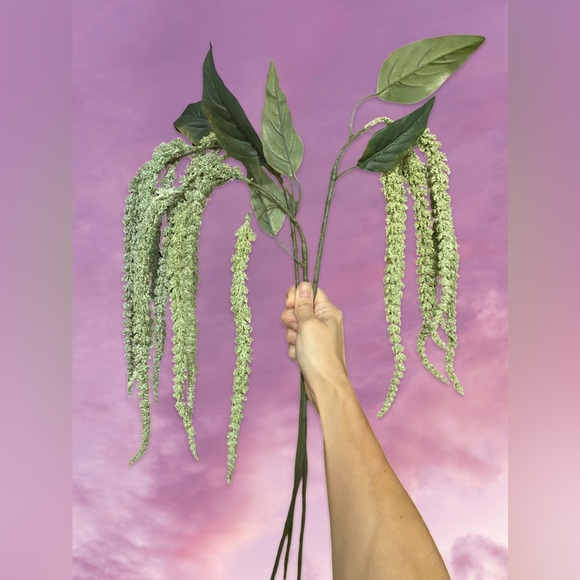 3 Cascading Pale Green Amaranth Stems - Picture 1 of 4